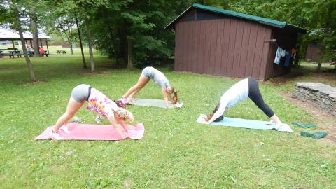 Three individuals in downward dog pose on mats outside on the lawn.