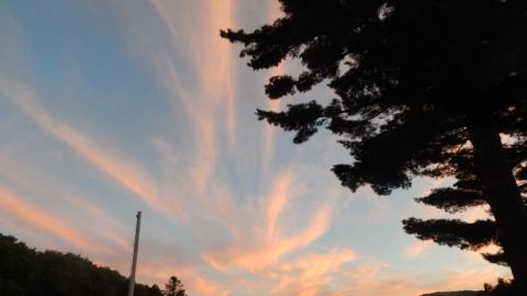 pink sunset over camp with silhouette of tree in foreground.