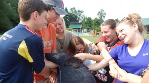 Youth holding hands laughing as they try to unknot themselves. One youths head is turned down between hands.