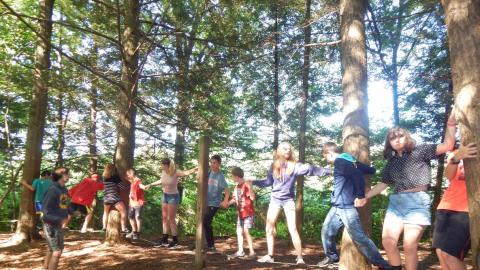 Youth holding each others forearms balance on a cable between trees a few inches off the ground.