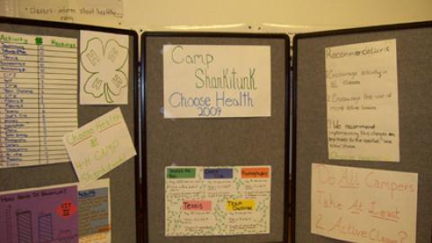display board titled Camp Shankitunk Choose Health 2009 with handwritten notes and charts about healthy activities campers participated in.