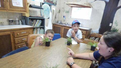 campers seated around table with small plants listening to counselor talking.