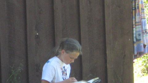 youth sitting on a tree stump outside a cabin reading a book.