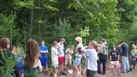 Youth stand outside near the forest and plant a tree. 