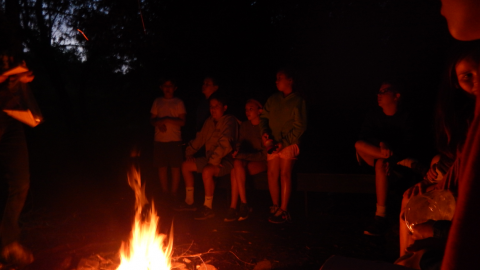 youth seated on logs around a campfire.