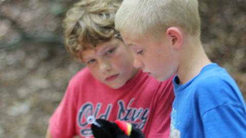 campers reading bird guide and holding bird replica.