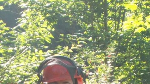 Staff standing in weeds with weed whacker, wearing helmet and ear muffs
