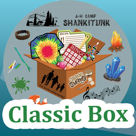 4-H Camp Shankitunk Classic Box written over graphic of activity icons spilling out of a box