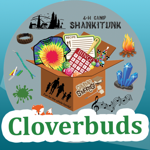 4-H Camp Shankitunk Cloverbuds written over graphic of activity icons spilling out of a box