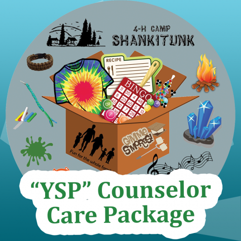 4-H Camp Shankitunk YSP Counselor Care Package written over graphic of activity icons spilling out of a box