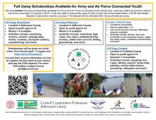 Army & Air Force Scholarships
