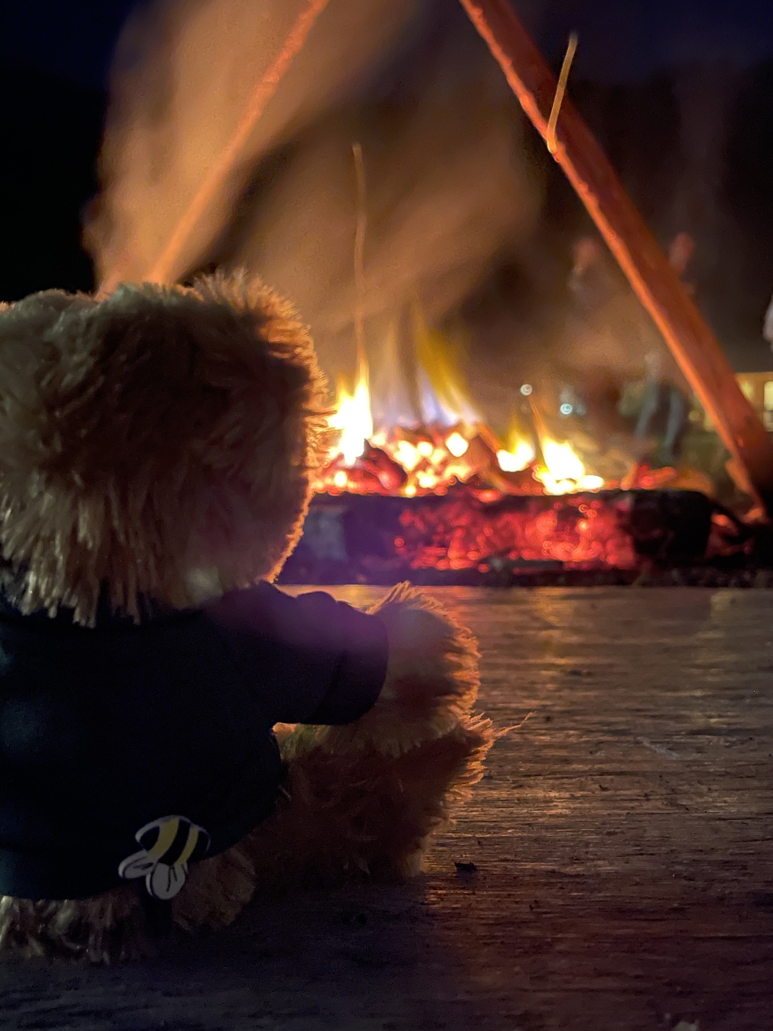 Teddy bear sitting in front of a campfire